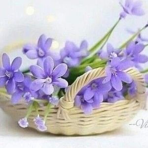 Meet your Posher, Velma